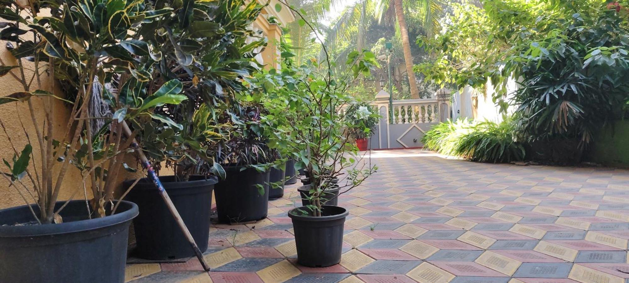 Ena Holiday Inn Calangute Exterior foto